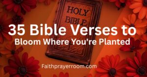 35 Bible Verses to Bloom Where You're Planted